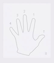 Левая рука (нумерация пальцев)