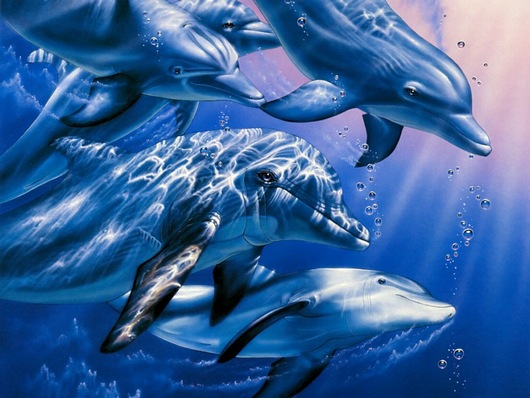 мумий тролль дельфины аккорды