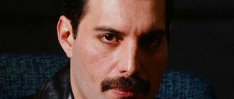 The Show Must Go On на гитаре