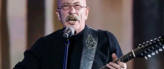 по снегу розенбаум аккорды